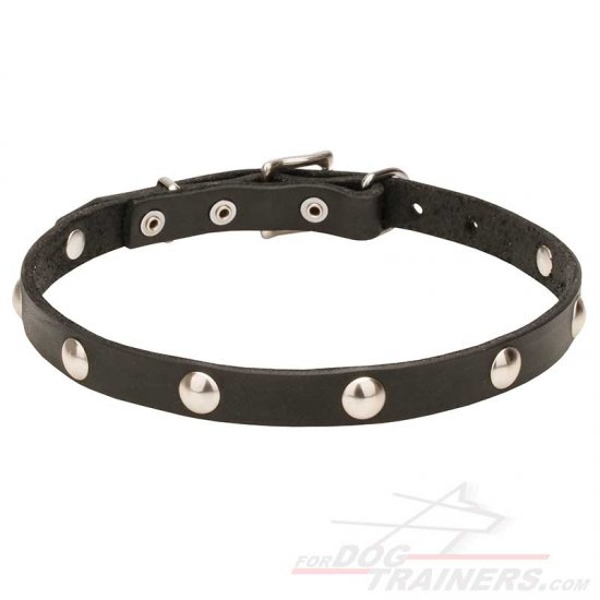"Shiny Necklace" Leather Dog Collar with Studs - 3/4 Inch (20 mm) - إضغط الصورة للإغلاق