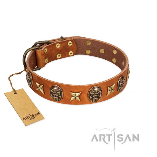 "Rockin" Doggie" FDT Artisan Tan Leather Dog Collar Adorned with Stars and Skulls