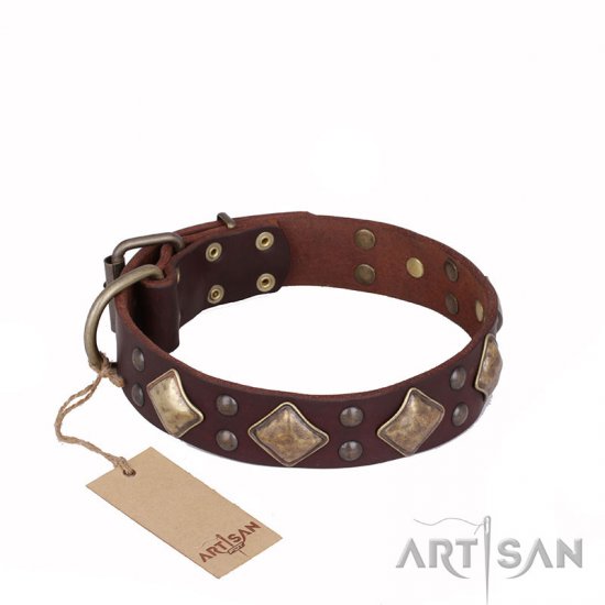 "Golden Square" FDT Artisan Brown Leather Dog Collar with Large Squares