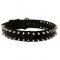 Black Nylon Dog Collar with Spikes