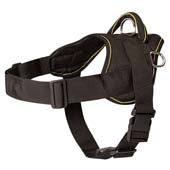 dog harness