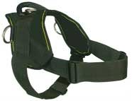 Everyday all weather dog harness for Caucasian Shepherd [H17##1073