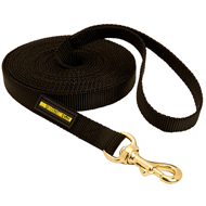 dog leash