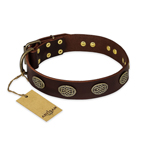 "Chocolate Kiss" FDT Artisan Leather Dog Collar with Old Bronze Look Oval Plates