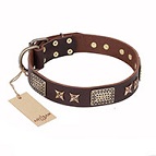 "Sparkling Bronze" FDT Artisan Genuine Leather Dog Collar with Bronze Look Stars and Plates
