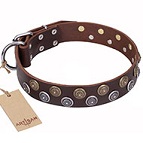"Strong Shields" FDT Artisan Leather Dog Collar with Stylish Decorations