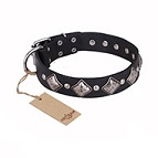 "Silver Charm" FDT Artisan Leather Dog Collar with Silvery-Plated Large Square Studs