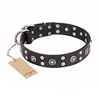 "Refined Essence" FDT Artisan Black Leather Dog Collar with Silvery Studs