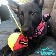 French Linen Bite Dog Tug for Training - 3 1/2 inch (9 cm) in Diameter