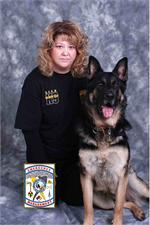 *Samson wearing Heavy Duty Nylon Dog Harness for Tracking and Pulling for German Shepherd