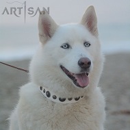 *Aika Wearing Handmade *White Leather Dog Collar from FDT Artisan Design