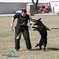 *Naika Trains in Leather Dog Harness for Black German Shepherds