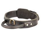 2 ply leather agitation dog collar with handle