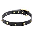 "Rock the Goth" Leather Dog Collar with Brass Spikes and Skulls
