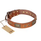 "Catchy Look" FDT Artisan Decorated Tan Leather Dog Collar