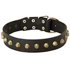 Everyday Wide Leather Dog Collar With Studded Decoration
