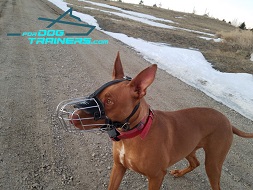 Wire Cage Dog Muzzle Lightweight for Comfy Wearing