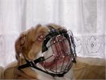 *Duke wearing our exclusive Wire Basket Dog Muzzles Size Chart Boxer muzzle M4
