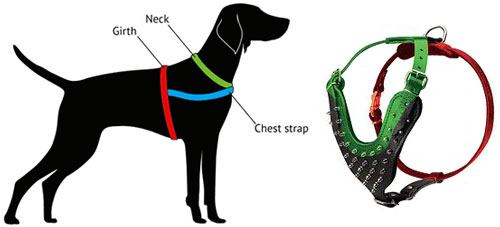 Dog harness