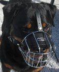 *Ares loves new Basket Dog Muzzle (All Sizes)