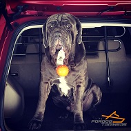 Neapolitan Mastiff Playing with Large Rubber Dog Ball