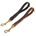 Easy Fast Grab Pull Tab Dog Leash