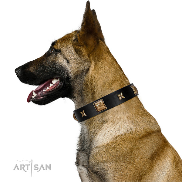 Soft Leather Belgian Malinois Collar for Daily Use