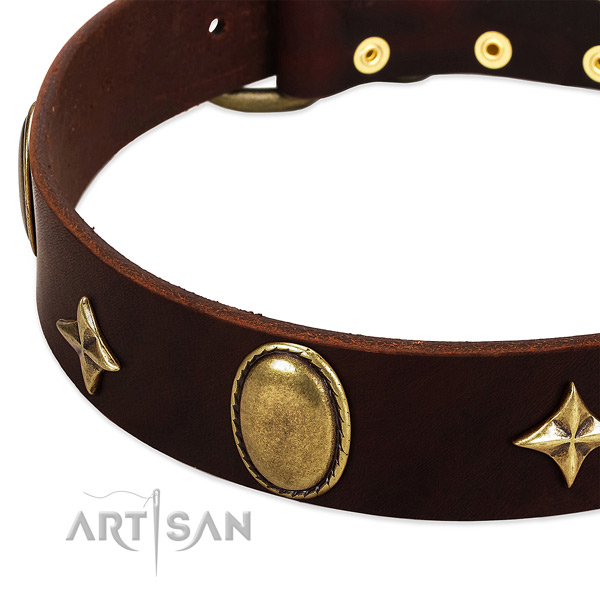 Stars and oval plates on designer brown leather dog collar