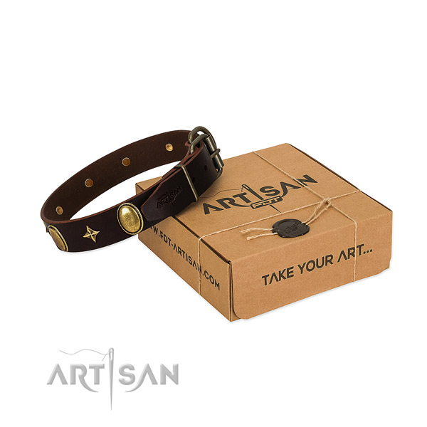 Genuine leather dog collar meant for daily use