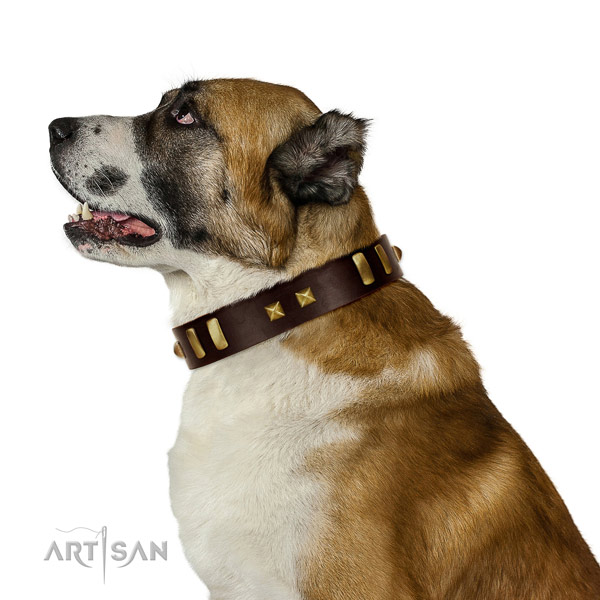 Gentle to Touch Brown Genuine Leather Collar for Central Asian Shepherd's Comfort