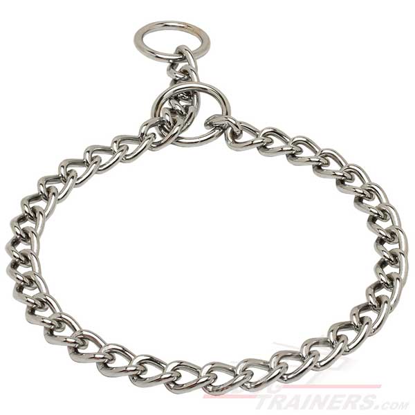 Choke Chain for Dog Behavior Correction