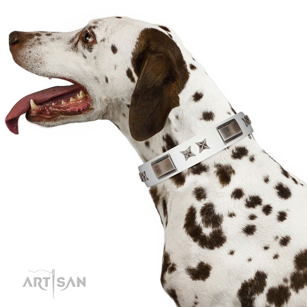 Adjustable leather Dalmatian collar for walking