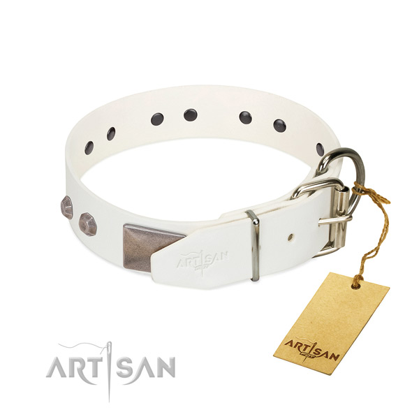 Easy Walking Dog Collar with Chrome-plated Hardware