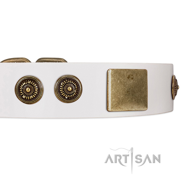 White Leather Dog Collar with Handset Conchos and Plates