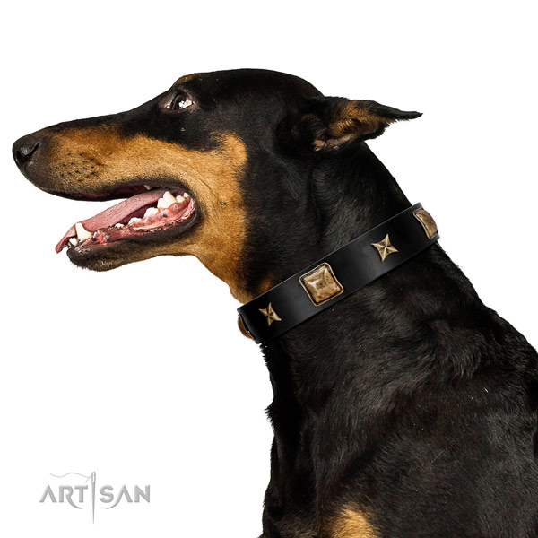 Full Grain Leather Doberman Collar with Old Bronze Adornments