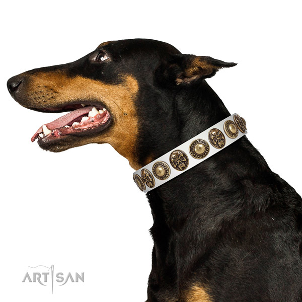 Smooth Leather Dog Collar with Stylish Adornments