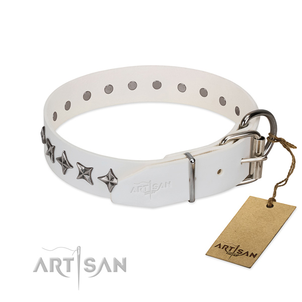 Stylish Dog Collar Adorned with Stars