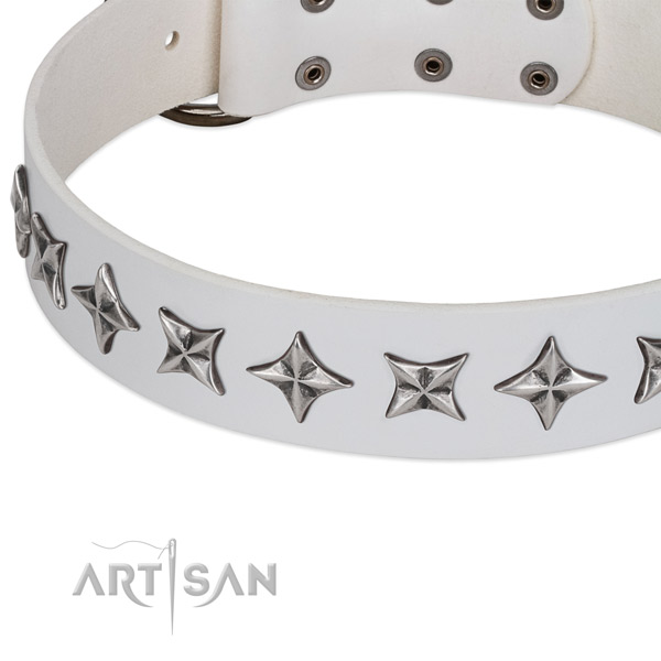 Leather Dog Collar Decorated with Stars
