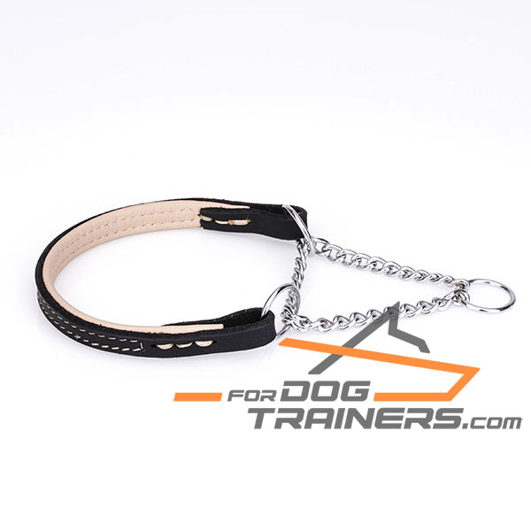 Martingale Dog Collar with Strong Chrome Plated Chain