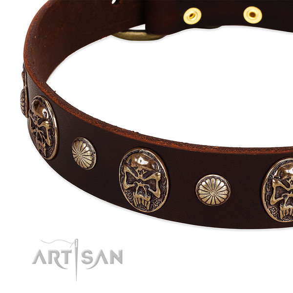 Brown dog collar with conchos and medallions
