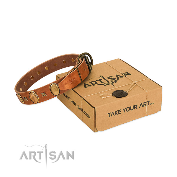 Eye-catching leather dog collar of soft and tender leather