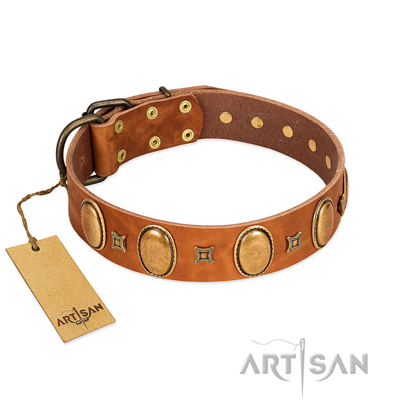 Tan leather dog collar with vintage style decorations