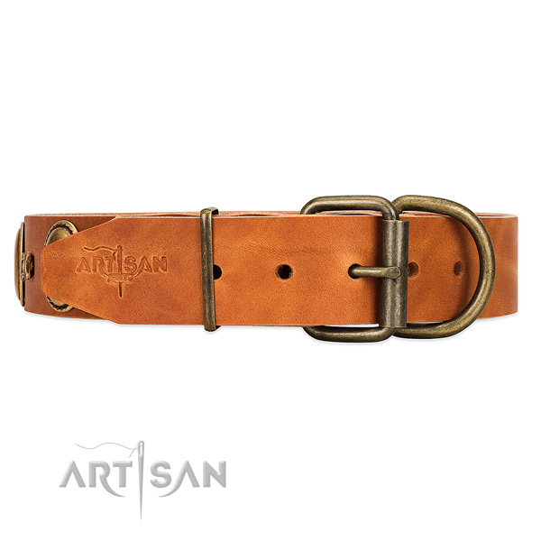 Adorned with unique plates and studs tan dog collar