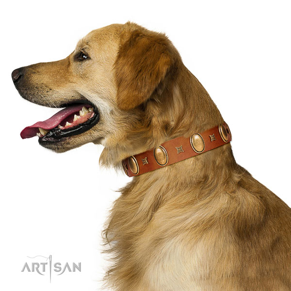Wear-proof leather Golden Retriever collar for long service term