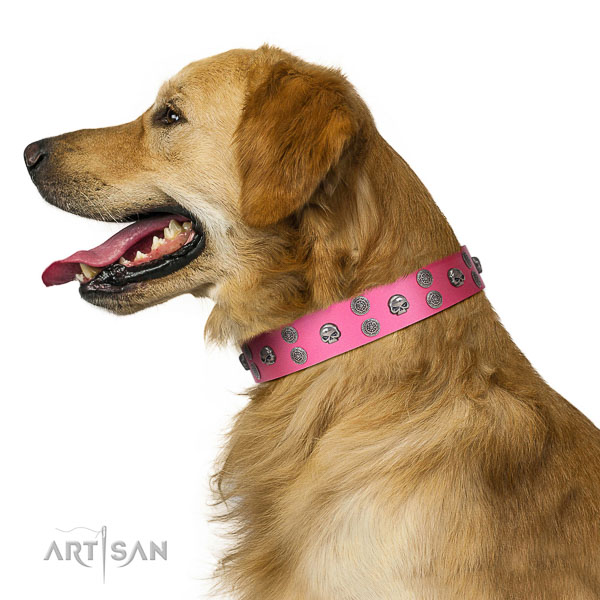 Walking top-notch quality walking leather Golden Retriever collar