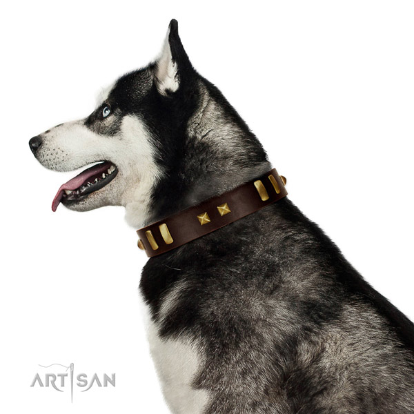 Soft Leather Husky Collar for Daily Use