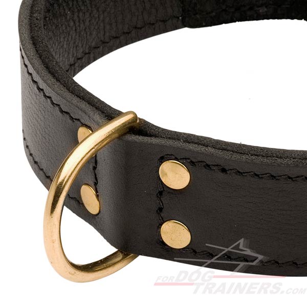 Handy Leather Dog Collar