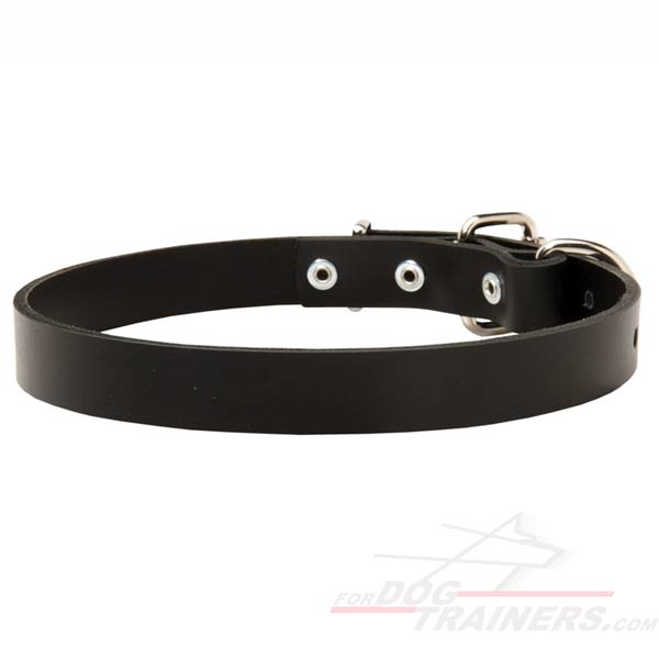 Classic Leather Collar