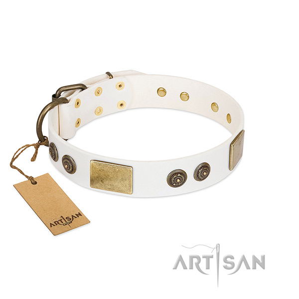 Posh White Leather Dog Collar Adorned with Gold-like Plates