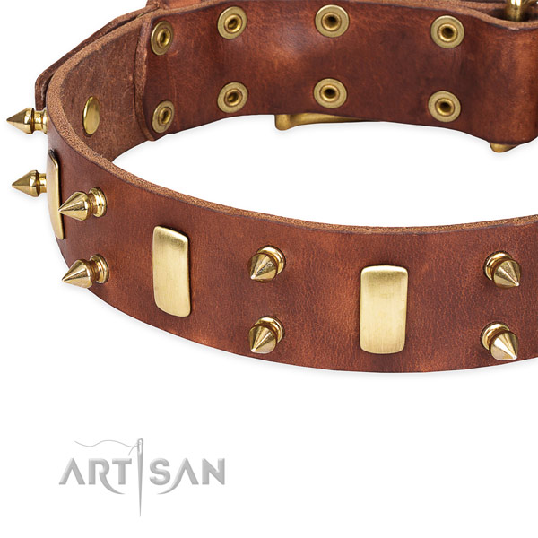 Exquisite tan dog collar